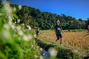 BIB: 
                            <button type="button" onclick="openModal(26575302)" class="btn btn-primary btn-sm float-right btn-popup" data-toggle="modal" data-target=".modal-high-quality">
                        <i class="fas fa-shopping-cart"></i> Add to Cart
                    </button>
                                            <button type="button" onclick="isThisMe(26575302, true)" class="btn btn-success btn-sm float-right btn-popup btn-isme hidden" data-toggle="tooltip" data-placement="bottom" title="นี่คือรูปของคุณใช่ไหม คลิกที่นี่เพื่อเอาเข้าอัลบั้ม">
                        <i class="fas fa-plus"></i> Add to album
                    </button>
                    <button type="button" onclick="isThisMe(26575302, false)" class="btn btn-warning btn-sm float-right btn-popup btn-isnotme hidden">
                        <i class="fas fa-ban"></i> Remove from album
                    </button>