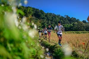 BIB: 
                            <button type="button" onclick="openModal(26573279)" class="btn btn-primary btn-sm float-right btn-popup" data-toggle="modal" data-target=".modal-high-quality">
                        <i class="fas fa-shopping-cart"></i> Add to Cart
                    </button>
                                            <button type="button" onclick="isThisMe(26573279, true)" class="btn btn-success btn-sm float-right btn-popup btn-isme hidden" data-toggle="tooltip" data-placement="bottom" title="นี่คือรูปของคุณใช่ไหม คลิกที่นี่เพื่อเอาเข้าอัลบั้ม">
                        <i class="fas fa-plus"></i> Add to album
                    </button>
                    <button type="button" onclick="isThisMe(26573279, false)" class="btn btn-warning btn-sm float-right btn-popup btn-isnotme hidden">
                        <i class="fas fa-ban"></i> Remove from album
                    </button>