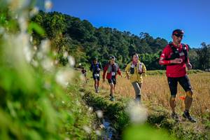 BIB: 
                            <button type="button" onclick="openModal(26573071)" class="btn btn-primary btn-sm float-right btn-popup" data-toggle="modal" data-target=".modal-high-quality">
                        <i class="fas fa-shopping-cart"></i> Add to Cart
                    </button>
                                            <button type="button" onclick="isThisMe(26573071, true)" class="btn btn-success btn-sm float-right btn-popup btn-isme hidden" data-toggle="tooltip" data-placement="bottom" title="นี่คือรูปของคุณใช่ไหม คลิกที่นี่เพื่อเอาเข้าอัลบั้ม">
                        <i class="fas fa-plus"></i> Add to album
                    </button>
                    <button type="button" onclick="isThisMe(26573071, false)" class="btn btn-warning btn-sm float-right btn-popup btn-isnotme hidden">
                        <i class="fas fa-ban"></i> Remove from album
                    </button>