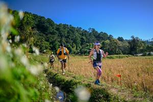 BIB: 
                            <button type="button" onclick="openModal(26575430)" class="btn btn-primary btn-sm float-right btn-popup" data-toggle="modal" data-target=".modal-high-quality">
                        <i class="fas fa-shopping-cart"></i> Add to Cart
                    </button>
                                            <button type="button" onclick="isThisMe(26575430, true)" class="btn btn-success btn-sm float-right btn-popup btn-isme hidden" data-toggle="tooltip" data-placement="bottom" title="นี่คือรูปของคุณใช่ไหม คลิกที่นี่เพื่อเอาเข้าอัลบั้ม">
                        <i class="fas fa-plus"></i> Add to album
                    </button>
                    <button type="button" onclick="isThisMe(26575430, false)" class="btn btn-warning btn-sm float-right btn-popup btn-isnotme hidden">
                        <i class="fas fa-ban"></i> Remove from album
                    </button>