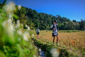 BIB: 
                            <button type="button" onclick="openModal(26572462)" class="btn btn-primary btn-sm float-right btn-popup" data-toggle="modal" data-target=".modal-high-quality">
                        <i class="fas fa-shopping-cart"></i> Add to Cart
                    </button>
                                            <button type="button" onclick="isThisMe(26572462, true)" class="btn btn-success btn-sm float-right btn-popup btn-isme hidden" data-toggle="tooltip" data-placement="bottom" title="นี่คือรูปของคุณใช่ไหม คลิกที่นี่เพื่อเอาเข้าอัลบั้ม">
                        <i class="fas fa-plus"></i> Add to album
                    </button>
                    <button type="button" onclick="isThisMe(26572462, false)" class="btn btn-warning btn-sm float-right btn-popup btn-isnotme hidden">
                        <i class="fas fa-ban"></i> Remove from album
                    </button>