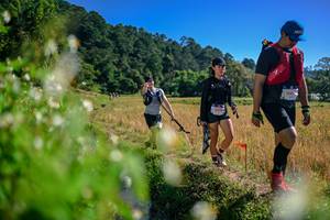 BIB: 
                            <button type="button" onclick="openModal(26579644)" class="btn btn-primary btn-sm float-right btn-popup" data-toggle="modal" data-target=".modal-high-quality">
                        <i class="fas fa-shopping-cart"></i> Add to Cart
                    </button>
                                            <button type="button" onclick="isThisMe(26579644, true)" class="btn btn-success btn-sm float-right btn-popup btn-isme hidden" data-toggle="tooltip" data-placement="bottom" title="นี่คือรูปของคุณใช่ไหม คลิกที่นี่เพื่อเอาเข้าอัลบั้ม">
                        <i class="fas fa-plus"></i> Add to album
                    </button>
                    <button type="button" onclick="isThisMe(26579644, false)" class="btn btn-warning btn-sm float-right btn-popup btn-isnotme hidden">
                        <i class="fas fa-ban"></i> Remove from album
                    </button>