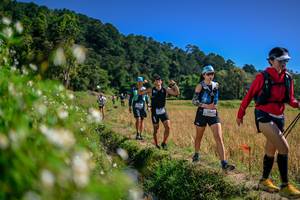 BIB: 
                            <button type="button" onclick="openModal(26582773)" class="btn btn-primary btn-sm float-right btn-popup" data-toggle="modal" data-target=".modal-high-quality">
                        <i class="fas fa-shopping-cart"></i> Add to Cart
                    </button>
                                            <button type="button" onclick="isThisMe(26582773, true)" class="btn btn-success btn-sm float-right btn-popup btn-isme hidden" data-toggle="tooltip" data-placement="bottom" title="นี่คือรูปของคุณใช่ไหม คลิกที่นี่เพื่อเอาเข้าอัลบั้ม">
                        <i class="fas fa-plus"></i> Add to album
                    </button>
                    <button type="button" onclick="isThisMe(26582773, false)" class="btn btn-warning btn-sm float-right btn-popup btn-isnotme hidden">
                        <i class="fas fa-ban"></i> Remove from album
                    </button>