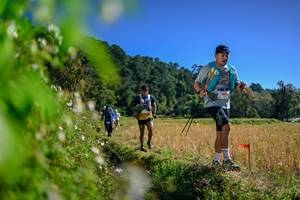 BIB: 
                            <button type="button" onclick="openModal(26580735)" class="btn btn-primary btn-sm float-right btn-popup" data-toggle="modal" data-target=".modal-high-quality">
                        <i class="fas fa-shopping-cart"></i> Add to Cart
                    </button>
                                            <button type="button" onclick="isThisMe(26580735, true)" class="btn btn-success btn-sm float-right btn-popup btn-isme hidden" data-toggle="tooltip" data-placement="bottom" title="นี่คือรูปของคุณใช่ไหม คลิกที่นี่เพื่อเอาเข้าอัลบั้ม">
                        <i class="fas fa-plus"></i> Add to album
                    </button>
                    <button type="button" onclick="isThisMe(26580735, false)" class="btn btn-warning btn-sm float-right btn-popup btn-isnotme hidden">
                        <i class="fas fa-ban"></i> Remove from album
                    </button>