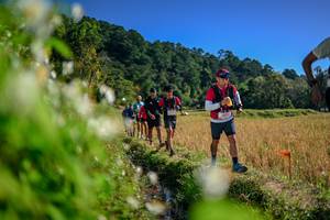 BIB: 
                            <button type="button" onclick="openModal(26574607)" class="btn btn-primary btn-sm float-right btn-popup" data-toggle="modal" data-target=".modal-high-quality">
                        <i class="fas fa-shopping-cart"></i> Add to Cart
                    </button>
                                            <button type="button" onclick="isThisMe(26574607, true)" class="btn btn-success btn-sm float-right btn-popup btn-isme hidden" data-toggle="tooltip" data-placement="bottom" title="นี่คือรูปของคุณใช่ไหม คลิกที่นี่เพื่อเอาเข้าอัลบั้ม">
                        <i class="fas fa-plus"></i> Add to album
                    </button>
                    <button type="button" onclick="isThisMe(26574607, false)" class="btn btn-warning btn-sm float-right btn-popup btn-isnotme hidden">
                        <i class="fas fa-ban"></i> Remove from album
                    </button>