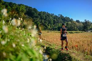 BIB: 
                            <button type="button" onclick="openModal(26571181)" class="btn btn-primary btn-sm float-right btn-popup" data-toggle="modal" data-target=".modal-high-quality">
                        <i class="fas fa-shopping-cart"></i> Add to Cart
                    </button>
                                            <button type="button" onclick="isThisMe(26571181, true)" class="btn btn-success btn-sm float-right btn-popup btn-isme hidden" data-toggle="tooltip" data-placement="bottom" title="นี่คือรูปของคุณใช่ไหม คลิกที่นี่เพื่อเอาเข้าอัลบั้ม">
                        <i class="fas fa-plus"></i> Add to album
                    </button>
                    <button type="button" onclick="isThisMe(26571181, false)" class="btn btn-warning btn-sm float-right btn-popup btn-isnotme hidden">
                        <i class="fas fa-ban"></i> Remove from album
                    </button>