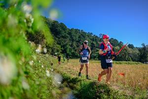 BIB: 
                            <button type="button" onclick="openModal(26581073)" class="btn btn-primary btn-sm float-right btn-popup" data-toggle="modal" data-target=".modal-high-quality">
                        <i class="fas fa-shopping-cart"></i> Add to Cart
                    </button>
                                            <button type="button" onclick="isThisMe(26581073, true)" class="btn btn-success btn-sm float-right btn-popup btn-isme hidden" data-toggle="tooltip" data-placement="bottom" title="นี่คือรูปของคุณใช่ไหม คลิกที่นี่เพื่อเอาเข้าอัลบั้ม">
                        <i class="fas fa-plus"></i> Add to album
                    </button>
                    <button type="button" onclick="isThisMe(26581073, false)" class="btn btn-warning btn-sm float-right btn-popup btn-isnotme hidden">
                        <i class="fas fa-ban"></i> Remove from album
                    </button>