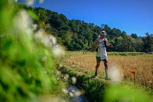 BIB: 
                            <button type="button" onclick="openModal(26574931)" class="btn btn-primary btn-sm float-right btn-popup" data-toggle="modal" data-target=".modal-high-quality">
                        <i class="fas fa-shopping-cart"></i> Add to Cart
                    </button>
                                            <button type="button" onclick="isThisMe(26574931, true)" class="btn btn-success btn-sm float-right btn-popup btn-isme hidden" data-toggle="tooltip" data-placement="bottom" title="นี่คือรูปของคุณใช่ไหม คลิกที่นี่เพื่อเอาเข้าอัลบั้ม">
                        <i class="fas fa-plus"></i> Add to album
                    </button>
                    <button type="button" onclick="isThisMe(26574931, false)" class="btn btn-warning btn-sm float-right btn-popup btn-isnotme hidden">
                        <i class="fas fa-ban"></i> Remove from album
                    </button>