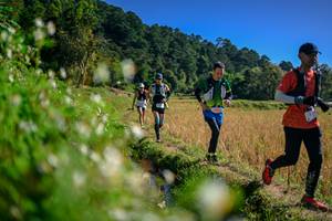 BIB: 
                            <button type="button" onclick="openModal(26576340)" class="btn btn-primary btn-sm float-right btn-popup" data-toggle="modal" data-target=".modal-high-quality">
                        <i class="fas fa-shopping-cart"></i> Add to Cart
                    </button>
                                            <button type="button" onclick="isThisMe(26576340, true)" class="btn btn-success btn-sm float-right btn-popup btn-isme hidden" data-toggle="tooltip" data-placement="bottom" title="นี่คือรูปของคุณใช่ไหม คลิกที่นี่เพื่อเอาเข้าอัลบั้ม">
                        <i class="fas fa-plus"></i> Add to album
                    </button>
                    <button type="button" onclick="isThisMe(26576340, false)" class="btn btn-warning btn-sm float-right btn-popup btn-isnotme hidden">
                        <i class="fas fa-ban"></i> Remove from album
                    </button>