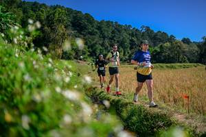 BIB: 
                            <button type="button" onclick="openModal(26582299)" class="btn btn-primary btn-sm float-right btn-popup" data-toggle="modal" data-target=".modal-high-quality">
                        <i class="fas fa-shopping-cart"></i> Add to Cart
                    </button>
                                            <button type="button" onclick="isThisMe(26582299, true)" class="btn btn-success btn-sm float-right btn-popup btn-isme hidden" data-toggle="tooltip" data-placement="bottom" title="นี่คือรูปของคุณใช่ไหม คลิกที่นี่เพื่อเอาเข้าอัลบั้ม">
                        <i class="fas fa-plus"></i> Add to album
                    </button>
                    <button type="button" onclick="isThisMe(26582299, false)" class="btn btn-warning btn-sm float-right btn-popup btn-isnotme hidden">
                        <i class="fas fa-ban"></i> Remove from album
                    </button>