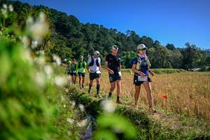 BIB: 
                            <button type="button" onclick="openModal(26575576)" class="btn btn-primary btn-sm float-right btn-popup" data-toggle="modal" data-target=".modal-high-quality">
                        <i class="fas fa-shopping-cart"></i> Add to Cart
                    </button>
                                            <button type="button" onclick="isThisMe(26575576, true)" class="btn btn-success btn-sm float-right btn-popup btn-isme hidden" data-toggle="tooltip" data-placement="bottom" title="นี่คือรูปของคุณใช่ไหม คลิกที่นี่เพื่อเอาเข้าอัลบั้ม">
                        <i class="fas fa-plus"></i> Add to album
                    </button>
                    <button type="button" onclick="isThisMe(26575576, false)" class="btn btn-warning btn-sm float-right btn-popup btn-isnotme hidden">
                        <i class="fas fa-ban"></i> Remove from album
                    </button>