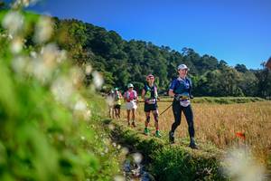 BIB: 
                            <button type="button" onclick="openModal(26571901)" class="btn btn-primary btn-sm float-right btn-popup" data-toggle="modal" data-target=".modal-high-quality">
                        <i class="fas fa-shopping-cart"></i> Add to Cart
                    </button>
                                            <button type="button" onclick="isThisMe(26571901, true)" class="btn btn-success btn-sm float-right btn-popup btn-isme hidden" data-toggle="tooltip" data-placement="bottom" title="นี่คือรูปของคุณใช่ไหม คลิกที่นี่เพื่อเอาเข้าอัลบั้ม">
                        <i class="fas fa-plus"></i> Add to album
                    </button>
                    <button type="button" onclick="isThisMe(26571901, false)" class="btn btn-warning btn-sm float-right btn-popup btn-isnotme hidden">
                        <i class="fas fa-ban"></i> Remove from album
                    </button>