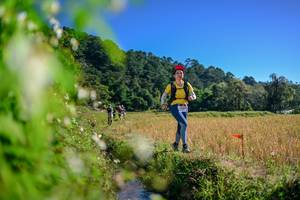 BIB: 
                            <button type="button" onclick="openModal(26579657)" class="btn btn-primary btn-sm float-right btn-popup" data-toggle="modal" data-target=".modal-high-quality">
                        <i class="fas fa-shopping-cart"></i> Add to Cart
                    </button>
                                            <button type="button" onclick="isThisMe(26579657, true)" class="btn btn-success btn-sm float-right btn-popup btn-isme hidden" data-toggle="tooltip" data-placement="bottom" title="นี่คือรูปของคุณใช่ไหม คลิกที่นี่เพื่อเอาเข้าอัลบั้ม">
                        <i class="fas fa-plus"></i> Add to album
                    </button>
                    <button type="button" onclick="isThisMe(26579657, false)" class="btn btn-warning btn-sm float-right btn-popup btn-isnotme hidden">
                        <i class="fas fa-ban"></i> Remove from album
                    </button>