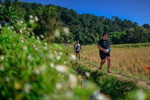 BIB: 
                            <button type="button" onclick="openModal(26581881)" class="btn btn-primary btn-sm float-right btn-popup" data-toggle="modal" data-target=".modal-high-quality">
                        <i class="fas fa-shopping-cart"></i> Add to Cart
                    </button>
                                            <button type="button" onclick="isThisMe(26581881, true)" class="btn btn-success btn-sm float-right btn-popup btn-isme hidden" data-toggle="tooltip" data-placement="bottom" title="นี่คือรูปของคุณใช่ไหม คลิกที่นี่เพื่อเอาเข้าอัลบั้ม">
                        <i class="fas fa-plus"></i> Add to album
                    </button>
                    <button type="button" onclick="isThisMe(26581881, false)" class="btn btn-warning btn-sm float-right btn-popup btn-isnotme hidden">
                        <i class="fas fa-ban"></i> Remove from album
                    </button>