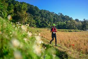 BIB: 
                            <button type="button" onclick="openModal(26570662)" class="btn btn-primary btn-sm float-right btn-popup" data-toggle="modal" data-target=".modal-high-quality">
                        <i class="fas fa-shopping-cart"></i> Add to Cart
                    </button>
                                            <button type="button" onclick="isThisMe(26570662, true)" class="btn btn-success btn-sm float-right btn-popup btn-isme hidden" data-toggle="tooltip" data-placement="bottom" title="นี่คือรูปของคุณใช่ไหม คลิกที่นี่เพื่อเอาเข้าอัลบั้ม">
                        <i class="fas fa-plus"></i> Add to album
                    </button>
                    <button type="button" onclick="isThisMe(26570662, false)" class="btn btn-warning btn-sm float-right btn-popup btn-isnotme hidden">
                        <i class="fas fa-ban"></i> Remove from album
                    </button>