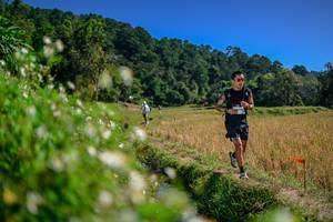 BIB: 
                            <button type="button" onclick="openModal(26581949)" class="btn btn-primary btn-sm float-right btn-popup" data-toggle="modal" data-target=".modal-high-quality">
                        <i class="fas fa-shopping-cart"></i> Add to Cart
                    </button>
                                            <button type="button" onclick="isThisMe(26581949, true)" class="btn btn-success btn-sm float-right btn-popup btn-isme hidden" data-toggle="tooltip" data-placement="bottom" title="นี่คือรูปของคุณใช่ไหม คลิกที่นี่เพื่อเอาเข้าอัลบั้ม">
                        <i class="fas fa-plus"></i> Add to album
                    </button>
                    <button type="button" onclick="isThisMe(26581949, false)" class="btn btn-warning btn-sm float-right btn-popup btn-isnotme hidden">
                        <i class="fas fa-ban"></i> Remove from album
                    </button>