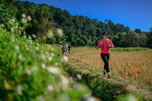 BIB: 
                            <button type="button" onclick="openModal(26582269)" class="btn btn-primary btn-sm float-right btn-popup" data-toggle="modal" data-target=".modal-high-quality">
                        <i class="fas fa-shopping-cart"></i> Add to Cart
                    </button>
                                            <button type="button" onclick="isThisMe(26582269, true)" class="btn btn-success btn-sm float-right btn-popup btn-isme hidden" data-toggle="tooltip" data-placement="bottom" title="นี่คือรูปของคุณใช่ไหม คลิกที่นี่เพื่อเอาเข้าอัลบั้ม">
                        <i class="fas fa-plus"></i> Add to album
                    </button>
                    <button type="button" onclick="isThisMe(26582269, false)" class="btn btn-warning btn-sm float-right btn-popup btn-isnotme hidden">
                        <i class="fas fa-ban"></i> Remove from album
                    </button>