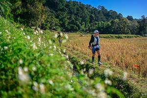 BIB: 
                            <button type="button" onclick="openModal(26571314)" class="btn btn-primary btn-sm float-right btn-popup" data-toggle="modal" data-target=".modal-high-quality">
                        <i class="fas fa-shopping-cart"></i> Add to Cart
                    </button>
                                            <button type="button" onclick="isThisMe(26571314, true)" class="btn btn-success btn-sm float-right btn-popup btn-isme hidden" data-toggle="tooltip" data-placement="bottom" title="นี่คือรูปของคุณใช่ไหม คลิกที่นี่เพื่อเอาเข้าอัลบั้ม">
                        <i class="fas fa-plus"></i> Add to album
                    </button>
                    <button type="button" onclick="isThisMe(26571314, false)" class="btn btn-warning btn-sm float-right btn-popup btn-isnotme hidden">
                        <i class="fas fa-ban"></i> Remove from album
                    </button>