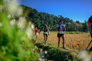 BIB: 
                            <button type="button" onclick="openModal(26572185)" class="btn btn-primary btn-sm float-right btn-popup" data-toggle="modal" data-target=".modal-high-quality">
                        <i class="fas fa-shopping-cart"></i> Add to Cart
                    </button>
                                            <button type="button" onclick="isThisMe(26572185, true)" class="btn btn-success btn-sm float-right btn-popup btn-isme hidden" data-toggle="tooltip" data-placement="bottom" title="นี่คือรูปของคุณใช่ไหม คลิกที่นี่เพื่อเอาเข้าอัลบั้ม">
                        <i class="fas fa-plus"></i> Add to album
                    </button>
                    <button type="button" onclick="isThisMe(26572185, false)" class="btn btn-warning btn-sm float-right btn-popup btn-isnotme hidden">
                        <i class="fas fa-ban"></i> Remove from album
                    </button>