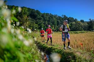 BIB: 
                            <button type="button" onclick="openModal(26574190)" class="btn btn-primary btn-sm float-right btn-popup" data-toggle="modal" data-target=".modal-high-quality">
                        <i class="fas fa-shopping-cart"></i> Add to Cart
                    </button>
                                            <button type="button" onclick="isThisMe(26574190, true)" class="btn btn-success btn-sm float-right btn-popup btn-isme hidden" data-toggle="tooltip" data-placement="bottom" title="นี่คือรูปของคุณใช่ไหม คลิกที่นี่เพื่อเอาเข้าอัลบั้ม">
                        <i class="fas fa-plus"></i> Add to album
                    </button>
                    <button type="button" onclick="isThisMe(26574190, false)" class="btn btn-warning btn-sm float-right btn-popup btn-isnotme hidden">
                        <i class="fas fa-ban"></i> Remove from album
                    </button>