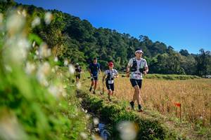 BIB: 
                            <button type="button" onclick="openModal(26571817)" class="btn btn-primary btn-sm float-right btn-popup" data-toggle="modal" data-target=".modal-high-quality">
                        <i class="fas fa-shopping-cart"></i> Add to Cart
                    </button>
                                            <button type="button" onclick="isThisMe(26571817, true)" class="btn btn-success btn-sm float-right btn-popup btn-isme hidden" data-toggle="tooltip" data-placement="bottom" title="นี่คือรูปของคุณใช่ไหม คลิกที่นี่เพื่อเอาเข้าอัลบั้ม">
                        <i class="fas fa-plus"></i> Add to album
                    </button>
                    <button type="button" onclick="isThisMe(26571817, false)" class="btn btn-warning btn-sm float-right btn-popup btn-isnotme hidden">
                        <i class="fas fa-ban"></i> Remove from album
                    </button>