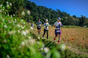 BIB: 
                            <button type="button" onclick="openModal(26581600)" class="btn btn-primary btn-sm float-right btn-popup" data-toggle="modal" data-target=".modal-high-quality">
                        <i class="fas fa-shopping-cart"></i> Add to Cart
                    </button>
                                            <button type="button" onclick="isThisMe(26581600, true)" class="btn btn-success btn-sm float-right btn-popup btn-isme hidden" data-toggle="tooltip" data-placement="bottom" title="นี่คือรูปของคุณใช่ไหม คลิกที่นี่เพื่อเอาเข้าอัลบั้ม">
                        <i class="fas fa-plus"></i> Add to album
                    </button>
                    <button type="button" onclick="isThisMe(26581600, false)" class="btn btn-warning btn-sm float-right btn-popup btn-isnotme hidden">
                        <i class="fas fa-ban"></i> Remove from album
                    </button>