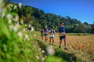 BIB: 
                            <button type="button" onclick="openModal(26571755)" class="btn btn-primary btn-sm float-right btn-popup" data-toggle="modal" data-target=".modal-high-quality">
                        <i class="fas fa-shopping-cart"></i> Add to Cart
                    </button>
                                            <button type="button" onclick="isThisMe(26571755, true)" class="btn btn-success btn-sm float-right btn-popup btn-isme hidden" data-toggle="tooltip" data-placement="bottom" title="นี่คือรูปของคุณใช่ไหม คลิกที่นี่เพื่อเอาเข้าอัลบั้ม">
                        <i class="fas fa-plus"></i> Add to album
                    </button>
                    <button type="button" onclick="isThisMe(26571755, false)" class="btn btn-warning btn-sm float-right btn-popup btn-isnotme hidden">
                        <i class="fas fa-ban"></i> Remove from album
                    </button>