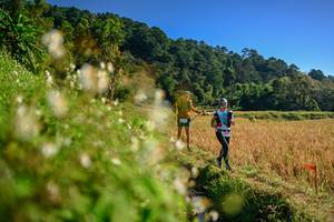 BIB: 
                            <button type="button" onclick="openModal(26571142)" class="btn btn-primary btn-sm float-right btn-popup" data-toggle="modal" data-target=".modal-high-quality">
                        <i class="fas fa-shopping-cart"></i> Add to Cart
                    </button>
                                            <button type="button" onclick="isThisMe(26571142, true)" class="btn btn-success btn-sm float-right btn-popup btn-isme hidden" data-toggle="tooltip" data-placement="bottom" title="นี่คือรูปของคุณใช่ไหม คลิกที่นี่เพื่อเอาเข้าอัลบั้ม">
                        <i class="fas fa-plus"></i> Add to album
                    </button>
                    <button type="button" onclick="isThisMe(26571142, false)" class="btn btn-warning btn-sm float-right btn-popup btn-isnotme hidden">
                        <i class="fas fa-ban"></i> Remove from album
                    </button>