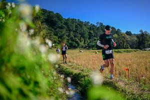 BIB: 
                            <button type="button" onclick="openModal(26574416)" class="btn btn-primary btn-sm float-right btn-popup" data-toggle="modal" data-target=".modal-high-quality">
                        <i class="fas fa-shopping-cart"></i> Add to Cart
                    </button>
                                            <button type="button" onclick="isThisMe(26574416, true)" class="btn btn-success btn-sm float-right btn-popup btn-isme hidden" data-toggle="tooltip" data-placement="bottom" title="นี่คือรูปของคุณใช่ไหม คลิกที่นี่เพื่อเอาเข้าอัลบั้ม">
                        <i class="fas fa-plus"></i> Add to album
                    </button>
                    <button type="button" onclick="isThisMe(26574416, false)" class="btn btn-warning btn-sm float-right btn-popup btn-isnotme hidden">
                        <i class="fas fa-ban"></i> Remove from album
                    </button>