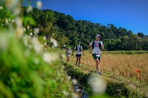 BIB: 
                            <button type="button" onclick="openModal(26573721)" class="btn btn-primary btn-sm float-right btn-popup" data-toggle="modal" data-target=".modal-high-quality">
                        <i class="fas fa-shopping-cart"></i> Add to Cart
                    </button>
                                            <button type="button" onclick="isThisMe(26573721, true)" class="btn btn-success btn-sm float-right btn-popup btn-isme hidden" data-toggle="tooltip" data-placement="bottom" title="นี่คือรูปของคุณใช่ไหม คลิกที่นี่เพื่อเอาเข้าอัลบั้ม">
                        <i class="fas fa-plus"></i> Add to album
                    </button>
                    <button type="button" onclick="isThisMe(26573721, false)" class="btn btn-warning btn-sm float-right btn-popup btn-isnotme hidden">
                        <i class="fas fa-ban"></i> Remove from album
                    </button>