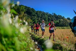 BIB: 
                            <button type="button" onclick="openModal(26573046)" class="btn btn-primary btn-sm float-right btn-popup" data-toggle="modal" data-target=".modal-high-quality">
                        <i class="fas fa-shopping-cart"></i> Add to Cart
                    </button>
                                            <button type="button" onclick="isThisMe(26573046, true)" class="btn btn-success btn-sm float-right btn-popup btn-isme hidden" data-toggle="tooltip" data-placement="bottom" title="นี่คือรูปของคุณใช่ไหม คลิกที่นี่เพื่อเอาเข้าอัลบั้ม">
                        <i class="fas fa-plus"></i> Add to album
                    </button>
                    <button type="button" onclick="isThisMe(26573046, false)" class="btn btn-warning btn-sm float-right btn-popup btn-isnotme hidden">
                        <i class="fas fa-ban"></i> Remove from album
                    </button>