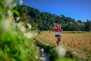 BIB: 
                            <button type="button" onclick="openModal(26573897)" class="btn btn-primary btn-sm float-right btn-popup" data-toggle="modal" data-target=".modal-high-quality">
                        <i class="fas fa-shopping-cart"></i> Add to Cart
                    </button>
                                            <button type="button" onclick="isThisMe(26573897, true)" class="btn btn-success btn-sm float-right btn-popup btn-isme hidden" data-toggle="tooltip" data-placement="bottom" title="นี่คือรูปของคุณใช่ไหม คลิกที่นี่เพื่อเอาเข้าอัลบั้ม">
                        <i class="fas fa-plus"></i> Add to album
                    </button>
                    <button type="button" onclick="isThisMe(26573897, false)" class="btn btn-warning btn-sm float-right btn-popup btn-isnotme hidden">
                        <i class="fas fa-ban"></i> Remove from album
                    </button>