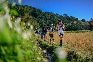 BIB: 
                            <button type="button" onclick="openModal(26573318)" class="btn btn-primary btn-sm float-right btn-popup" data-toggle="modal" data-target=".modal-high-quality">
                        <i class="fas fa-shopping-cart"></i> Add to Cart
                    </button>
                                            <button type="button" onclick="isThisMe(26573318, true)" class="btn btn-success btn-sm float-right btn-popup btn-isme hidden" data-toggle="tooltip" data-placement="bottom" title="นี่คือรูปของคุณใช่ไหม คลิกที่นี่เพื่อเอาเข้าอัลบั้ม">
                        <i class="fas fa-plus"></i> Add to album
                    </button>
                    <button type="button" onclick="isThisMe(26573318, false)" class="btn btn-warning btn-sm float-right btn-popup btn-isnotme hidden">
                        <i class="fas fa-ban"></i> Remove from album
                    </button>