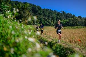 BIB: 
                            <button type="button" onclick="openModal(26582126)" class="btn btn-primary btn-sm float-right btn-popup" data-toggle="modal" data-target=".modal-high-quality">
                        <i class="fas fa-shopping-cart"></i> Add to Cart
                    </button>
                                            <button type="button" onclick="isThisMe(26582126, true)" class="btn btn-success btn-sm float-right btn-popup btn-isme hidden" data-toggle="tooltip" data-placement="bottom" title="นี่คือรูปของคุณใช่ไหม คลิกที่นี่เพื่อเอาเข้าอัลบั้ม">
                        <i class="fas fa-plus"></i> Add to album
                    </button>
                    <button type="button" onclick="isThisMe(26582126, false)" class="btn btn-warning btn-sm float-right btn-popup btn-isnotme hidden">
                        <i class="fas fa-ban"></i> Remove from album
                    </button>