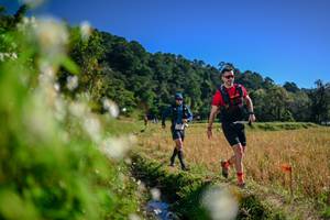 BIB: 
                            <button type="button" onclick="openModal(26573666)" class="btn btn-primary btn-sm float-right btn-popup" data-toggle="modal" data-target=".modal-high-quality">
                        <i class="fas fa-shopping-cart"></i> Add to Cart
                    </button>
                                            <button type="button" onclick="isThisMe(26573666, true)" class="btn btn-success btn-sm float-right btn-popup btn-isme hidden" data-toggle="tooltip" data-placement="bottom" title="นี่คือรูปของคุณใช่ไหม คลิกที่นี่เพื่อเอาเข้าอัลบั้ม">
                        <i class="fas fa-plus"></i> Add to album
                    </button>
                    <button type="button" onclick="isThisMe(26573666, false)" class="btn btn-warning btn-sm float-right btn-popup btn-isnotme hidden">
                        <i class="fas fa-ban"></i> Remove from album
                    </button>