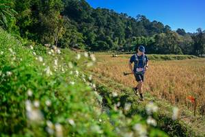 BIB: 
                            <button type="button" onclick="openModal(26571308)" class="btn btn-primary btn-sm float-right btn-popup" data-toggle="modal" data-target=".modal-high-quality">
                        <i class="fas fa-shopping-cart"></i> Add to Cart
                    </button>
                                            <button type="button" onclick="isThisMe(26571308, true)" class="btn btn-success btn-sm float-right btn-popup btn-isme hidden" data-toggle="tooltip" data-placement="bottom" title="นี่คือรูปของคุณใช่ไหม คลิกที่นี่เพื่อเอาเข้าอัลบั้ม">
                        <i class="fas fa-plus"></i> Add to album
                    </button>
                    <button type="button" onclick="isThisMe(26571308, false)" class="btn btn-warning btn-sm float-right btn-popup btn-isnotme hidden">
                        <i class="fas fa-ban"></i> Remove from album
                    </button>