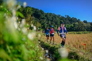 BIB: 
                            <button type="button" onclick="openModal(26572984)" class="btn btn-primary btn-sm float-right btn-popup" data-toggle="modal" data-target=".modal-high-quality">
                        <i class="fas fa-shopping-cart"></i> Add to Cart
                    </button>
                                            <button type="button" onclick="isThisMe(26572984, true)" class="btn btn-success btn-sm float-right btn-popup btn-isme hidden" data-toggle="tooltip" data-placement="bottom" title="นี่คือรูปของคุณใช่ไหม คลิกที่นี่เพื่อเอาเข้าอัลบั้ม">
                        <i class="fas fa-plus"></i> Add to album
                    </button>
                    <button type="button" onclick="isThisMe(26572984, false)" class="btn btn-warning btn-sm float-right btn-popup btn-isnotme hidden">
                        <i class="fas fa-ban"></i> Remove from album
                    </button>