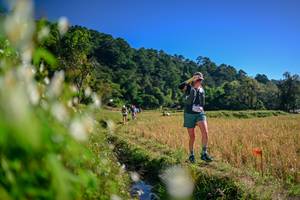 BIB: 
                            <button type="button" onclick="openModal(26572577)" class="btn btn-primary btn-sm float-right btn-popup" data-toggle="modal" data-target=".modal-high-quality">
                        <i class="fas fa-shopping-cart"></i> Add to Cart
                    </button>
                                            <button type="button" onclick="isThisMe(26572577, true)" class="btn btn-success btn-sm float-right btn-popup btn-isme hidden" data-toggle="tooltip" data-placement="bottom" title="นี่คือรูปของคุณใช่ไหม คลิกที่นี่เพื่อเอาเข้าอัลบั้ม">
                        <i class="fas fa-plus"></i> Add to album
                    </button>
                    <button type="button" onclick="isThisMe(26572577, false)" class="btn btn-warning btn-sm float-right btn-popup btn-isnotme hidden">
                        <i class="fas fa-ban"></i> Remove from album
                    </button>