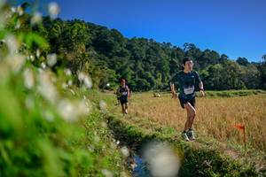 BIB: 
                            <button type="button" onclick="openModal(26573804)" class="btn btn-primary btn-sm float-right btn-popup" data-toggle="modal" data-target=".modal-high-quality">
                        <i class="fas fa-shopping-cart"></i> Add to Cart
                    </button>
                                            <button type="button" onclick="isThisMe(26573804, true)" class="btn btn-success btn-sm float-right btn-popup btn-isme hidden" data-toggle="tooltip" data-placement="bottom" title="นี่คือรูปของคุณใช่ไหม คลิกที่นี่เพื่อเอาเข้าอัลบั้ม">
                        <i class="fas fa-plus"></i> Add to album
                    </button>
                    <button type="button" onclick="isThisMe(26573804, false)" class="btn btn-warning btn-sm float-right btn-popup btn-isnotme hidden">
                        <i class="fas fa-ban"></i> Remove from album
                    </button>