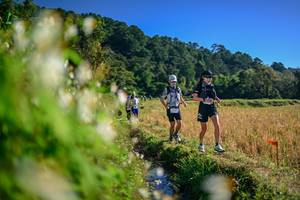 BIB: 
                            <button type="button" onclick="openModal(26571600)" class="btn btn-primary btn-sm float-right btn-popup" data-toggle="modal" data-target=".modal-high-quality">
                        <i class="fas fa-shopping-cart"></i> Add to Cart
                    </button>
                                            <button type="button" onclick="isThisMe(26571600, true)" class="btn btn-success btn-sm float-right btn-popup btn-isme hidden" data-toggle="tooltip" data-placement="bottom" title="นี่คือรูปของคุณใช่ไหม คลิกที่นี่เพื่อเอาเข้าอัลบั้ม">
                        <i class="fas fa-plus"></i> Add to album
                    </button>
                    <button type="button" onclick="isThisMe(26571600, false)" class="btn btn-warning btn-sm float-right btn-popup btn-isnotme hidden">
                        <i class="fas fa-ban"></i> Remove from album
                    </button>