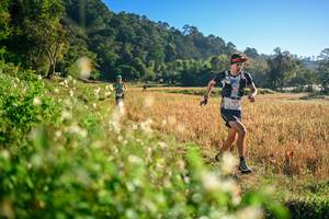 BIB: 
                            <button type="button" onclick="openModal(26570256)" class="btn btn-primary btn-sm float-right btn-popup" data-toggle="modal" data-target=".modal-high-quality">
                        <i class="fas fa-shopping-cart"></i> Add to Cart
                    </button>
                                            <button type="button" onclick="isThisMe(26570256, true)" class="btn btn-success btn-sm float-right btn-popup btn-isme hidden" data-toggle="tooltip" data-placement="bottom" title="นี่คือรูปของคุณใช่ไหม คลิกที่นี่เพื่อเอาเข้าอัลบั้ม">
                        <i class="fas fa-plus"></i> Add to album
                    </button>
                    <button type="button" onclick="isThisMe(26570256, false)" class="btn btn-warning btn-sm float-right btn-popup btn-isnotme hidden">
                        <i class="fas fa-ban"></i> Remove from album
                    </button>