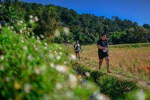 BIB: 
                            <button type="button" onclick="openModal(26581877)" class="btn btn-primary btn-sm float-right btn-popup" data-toggle="modal" data-target=".modal-high-quality">
                        <i class="fas fa-shopping-cart"></i> Add to Cart
                    </button>
                                            <button type="button" onclick="isThisMe(26581877, true)" class="btn btn-success btn-sm float-right btn-popup btn-isme hidden" data-toggle="tooltip" data-placement="bottom" title="นี่คือรูปของคุณใช่ไหม คลิกที่นี่เพื่อเอาเข้าอัลบั้ม">
                        <i class="fas fa-plus"></i> Add to album
                    </button>
                    <button type="button" onclick="isThisMe(26581877, false)" class="btn btn-warning btn-sm float-right btn-popup btn-isnotme hidden">
                        <i class="fas fa-ban"></i> Remove from album
                    </button>