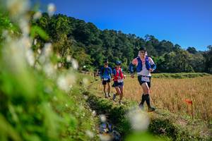 BIB: 
                            <button type="button" onclick="openModal(26572987)" class="btn btn-primary btn-sm float-right btn-popup" data-toggle="modal" data-target=".modal-high-quality">
                        <i class="fas fa-shopping-cart"></i> Add to Cart
                    </button>
                                            <button type="button" onclick="isThisMe(26572987, true)" class="btn btn-success btn-sm float-right btn-popup btn-isme hidden" data-toggle="tooltip" data-placement="bottom" title="นี่คือรูปของคุณใช่ไหม คลิกที่นี่เพื่อเอาเข้าอัลบั้ม">
                        <i class="fas fa-plus"></i> Add to album
                    </button>
                    <button type="button" onclick="isThisMe(26572987, false)" class="btn btn-warning btn-sm float-right btn-popup btn-isnotme hidden">
                        <i class="fas fa-ban"></i> Remove from album
                    </button>