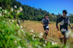 BIB: 
                            <button type="button" onclick="openModal(26579533)" class="btn btn-primary btn-sm float-right btn-popup" data-toggle="modal" data-target=".modal-high-quality">
                        <i class="fas fa-shopping-cart"></i> Add to Cart
                    </button>
                                            <button type="button" onclick="isThisMe(26579533, true)" class="btn btn-success btn-sm float-right btn-popup btn-isme hidden" data-toggle="tooltip" data-placement="bottom" title="นี่คือรูปของคุณใช่ไหม คลิกที่นี่เพื่อเอาเข้าอัลบั้ม">
                        <i class="fas fa-plus"></i> Add to album
                    </button>
                    <button type="button" onclick="isThisMe(26579533, false)" class="btn btn-warning btn-sm float-right btn-popup btn-isnotme hidden">
                        <i class="fas fa-ban"></i> Remove from album
                    </button>