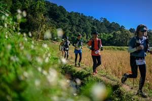 BIB: 
                            <button type="button" onclick="openModal(26576330)" class="btn btn-primary btn-sm float-right btn-popup" data-toggle="modal" data-target=".modal-high-quality">
                        <i class="fas fa-shopping-cart"></i> Add to Cart
                    </button>
                                            <button type="button" onclick="isThisMe(26576330, true)" class="btn btn-success btn-sm float-right btn-popup btn-isme hidden" data-toggle="tooltip" data-placement="bottom" title="นี่คือรูปของคุณใช่ไหม คลิกที่นี่เพื่อเอาเข้าอัลบั้ม">
                        <i class="fas fa-plus"></i> Add to album
                    </button>
                    <button type="button" onclick="isThisMe(26576330, false)" class="btn btn-warning btn-sm float-right btn-popup btn-isnotme hidden">
                        <i class="fas fa-ban"></i> Remove from album
                    </button>