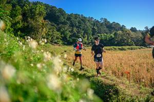 BIB: 
                            <button type="button" onclick="openModal(26570687)" class="btn btn-primary btn-sm float-right btn-popup" data-toggle="modal" data-target=".modal-high-quality">
                        <i class="fas fa-shopping-cart"></i> Add to Cart
                    </button>
                                            <button type="button" onclick="isThisMe(26570687, true)" class="btn btn-success btn-sm float-right btn-popup btn-isme hidden" data-toggle="tooltip" data-placement="bottom" title="นี่คือรูปของคุณใช่ไหม คลิกที่นี่เพื่อเอาเข้าอัลบั้ม">
                        <i class="fas fa-plus"></i> Add to album
                    </button>
                    <button type="button" onclick="isThisMe(26570687, false)" class="btn btn-warning btn-sm float-right btn-popup btn-isnotme hidden">
                        <i class="fas fa-ban"></i> Remove from album
                    </button>