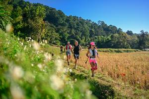 BIB: 
                            <button type="button" onclick="openModal(26570650)" class="btn btn-primary btn-sm float-right btn-popup" data-toggle="modal" data-target=".modal-high-quality">
                        <i class="fas fa-shopping-cart"></i> Add to Cart
                    </button>
                                            <button type="button" onclick="isThisMe(26570650, true)" class="btn btn-success btn-sm float-right btn-popup btn-isme hidden" data-toggle="tooltip" data-placement="bottom" title="นี่คือรูปของคุณใช่ไหม คลิกที่นี่เพื่อเอาเข้าอัลบั้ม">
                        <i class="fas fa-plus"></i> Add to album
                    </button>
                    <button type="button" onclick="isThisMe(26570650, false)" class="btn btn-warning btn-sm float-right btn-popup btn-isnotme hidden">
                        <i class="fas fa-ban"></i> Remove from album
                    </button>