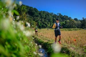 BIB: 
                            <button type="button" onclick="openModal(26574511)" class="btn btn-primary btn-sm float-right btn-popup" data-toggle="modal" data-target=".modal-high-quality">
                        <i class="fas fa-shopping-cart"></i> Add to Cart
                    </button>
                                            <button type="button" onclick="isThisMe(26574511, true)" class="btn btn-success btn-sm float-right btn-popup btn-isme hidden" data-toggle="tooltip" data-placement="bottom" title="นี่คือรูปของคุณใช่ไหม คลิกที่นี่เพื่อเอาเข้าอัลบั้ม">
                        <i class="fas fa-plus"></i> Add to album
                    </button>
                    <button type="button" onclick="isThisMe(26574511, false)" class="btn btn-warning btn-sm float-right btn-popup btn-isnotme hidden">
                        <i class="fas fa-ban"></i> Remove from album
                    </button>