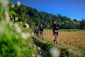 BIB: 
                            <button type="button" onclick="openModal(26574058)" class="btn btn-primary btn-sm float-right btn-popup" data-toggle="modal" data-target=".modal-high-quality">
                        <i class="fas fa-shopping-cart"></i> Add to Cart
                    </button>
                                            <button type="button" onclick="isThisMe(26574058, true)" class="btn btn-success btn-sm float-right btn-popup btn-isme hidden" data-toggle="tooltip" data-placement="bottom" title="นี่คือรูปของคุณใช่ไหม คลิกที่นี่เพื่อเอาเข้าอัลบั้ม">
                        <i class="fas fa-plus"></i> Add to album
                    </button>
                    <button type="button" onclick="isThisMe(26574058, false)" class="btn btn-warning btn-sm float-right btn-popup btn-isnotme hidden">
                        <i class="fas fa-ban"></i> Remove from album
                    </button>