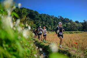 BIB: 
                            <button type="button" onclick="openModal(26572357)" class="btn btn-primary btn-sm float-right btn-popup" data-toggle="modal" data-target=".modal-high-quality">
                        <i class="fas fa-shopping-cart"></i> Add to Cart
                    </button>
                                            <button type="button" onclick="isThisMe(26572357, true)" class="btn btn-success btn-sm float-right btn-popup btn-isme hidden" data-toggle="tooltip" data-placement="bottom" title="นี่คือรูปของคุณใช่ไหม คลิกที่นี่เพื่อเอาเข้าอัลบั้ม">
                        <i class="fas fa-plus"></i> Add to album
                    </button>
                    <button type="button" onclick="isThisMe(26572357, false)" class="btn btn-warning btn-sm float-right btn-popup btn-isnotme hidden">
                        <i class="fas fa-ban"></i> Remove from album
                    </button>